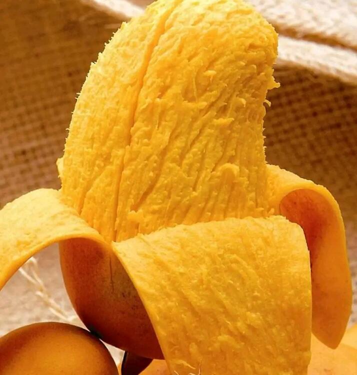 Mango fruit Mango fruit