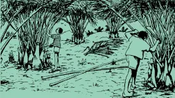 L1-Bamboos are useful