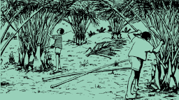 L1-Bamboos are useful L1-Bamboos are useful